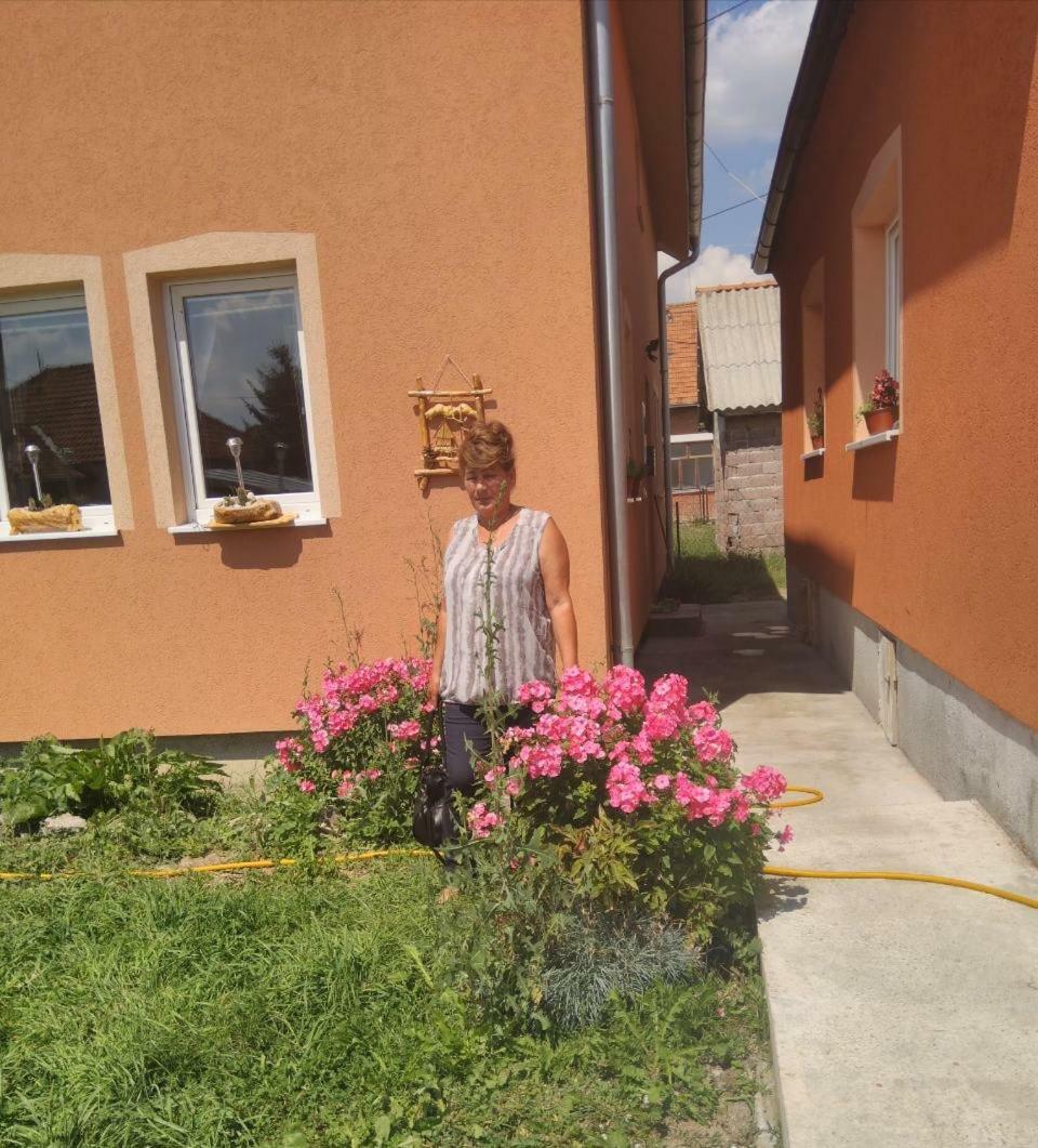 Apartmani ,,Bato,, Sjenica Esterno foto